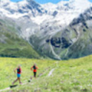 Meet your Posher, Judy